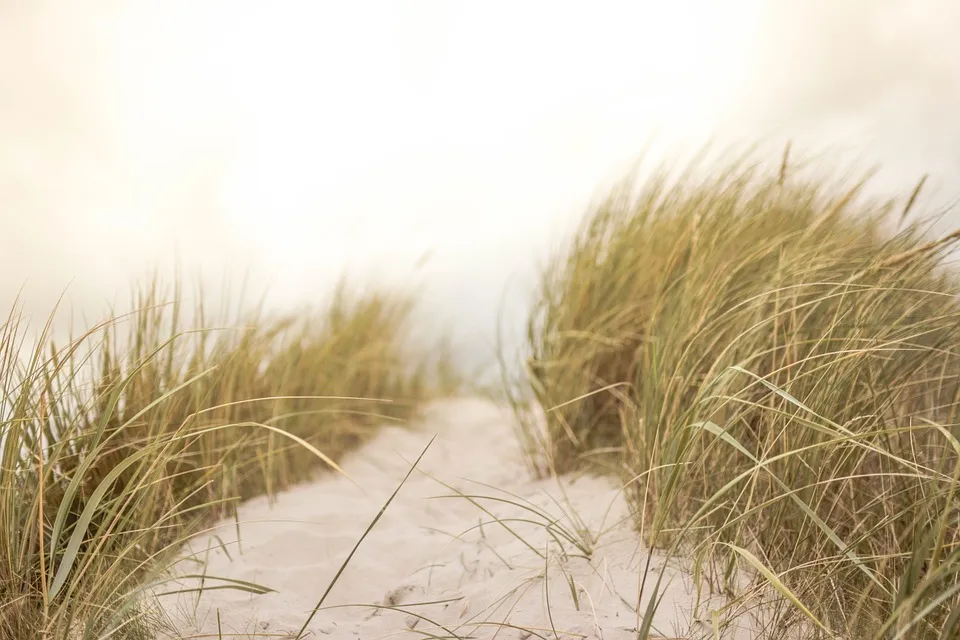 sand 691710 960 720