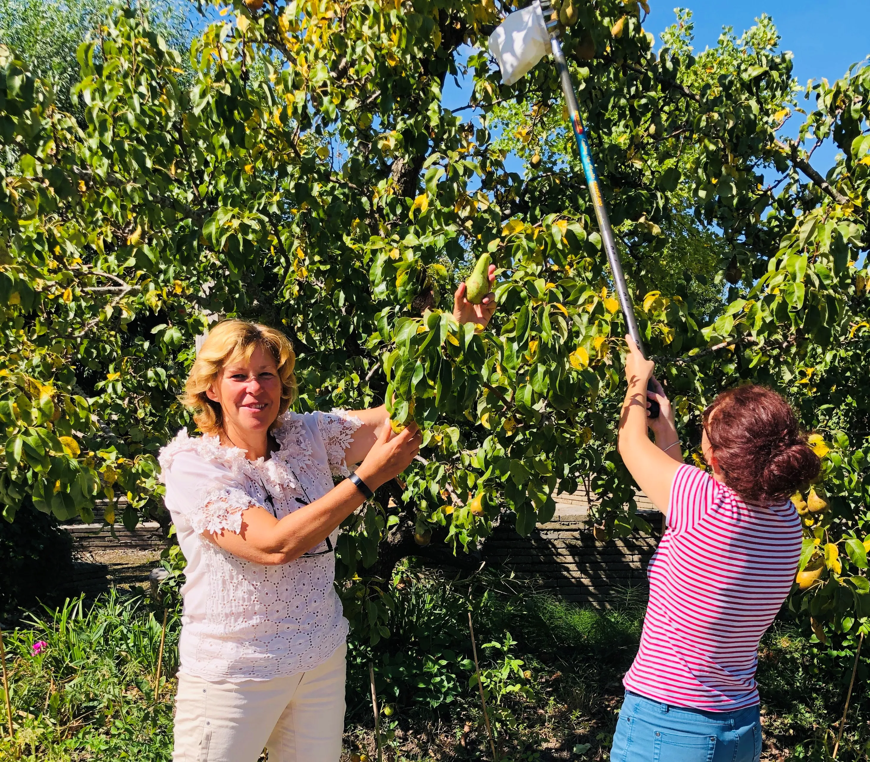 start van de beweegweek in noordhove foto stichting piezo
