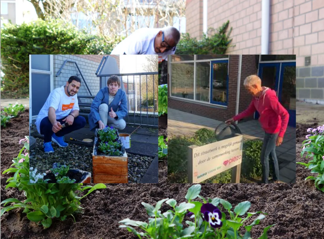 tuinton piezo buurttuin