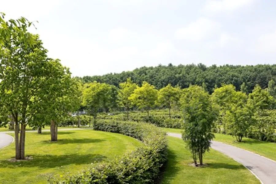 uitslag boomproject 450