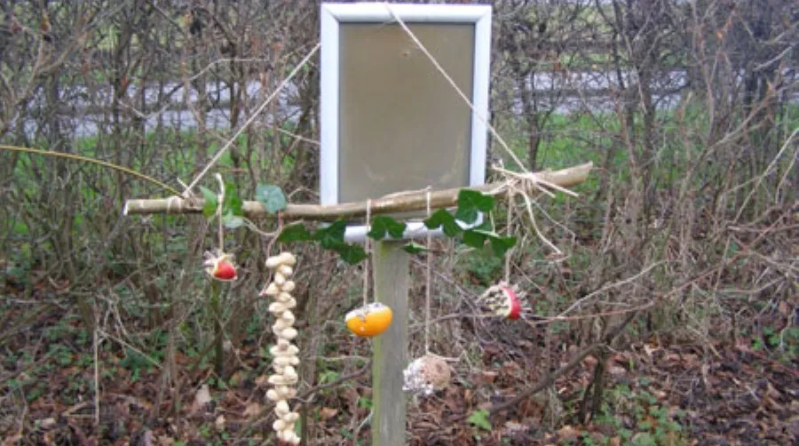 voedertak voor vogels450