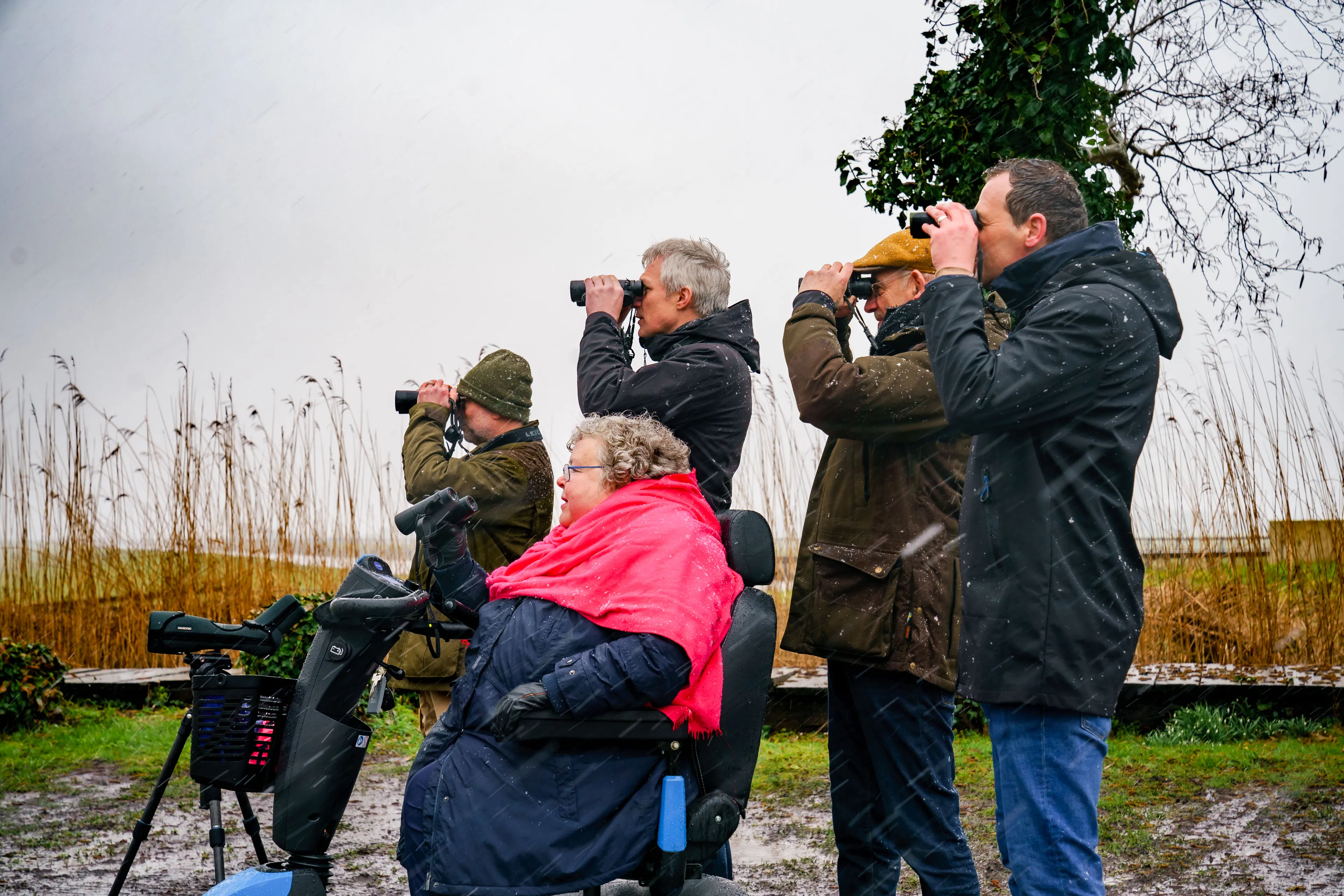 zoetermeerse meerpolder