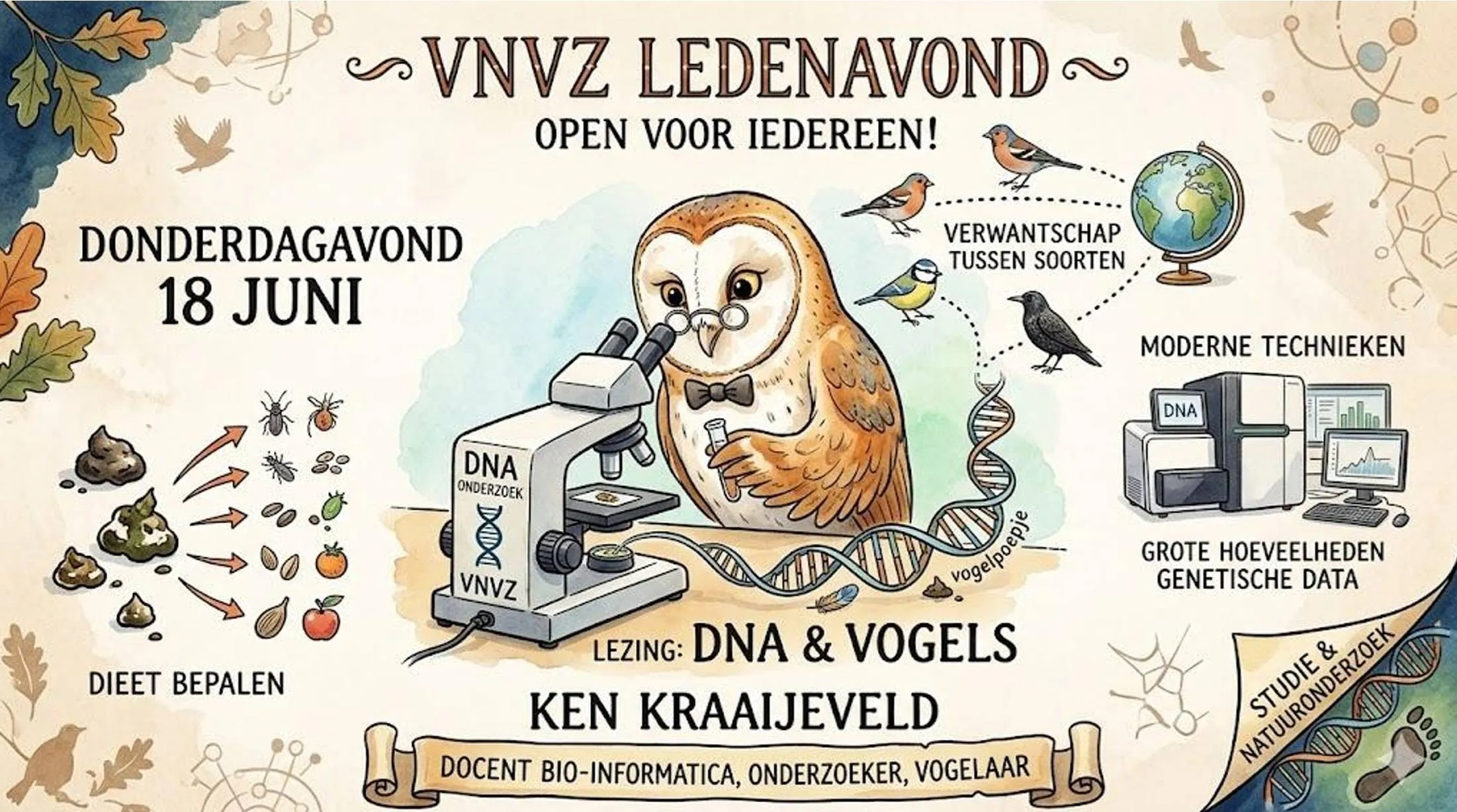 vogel