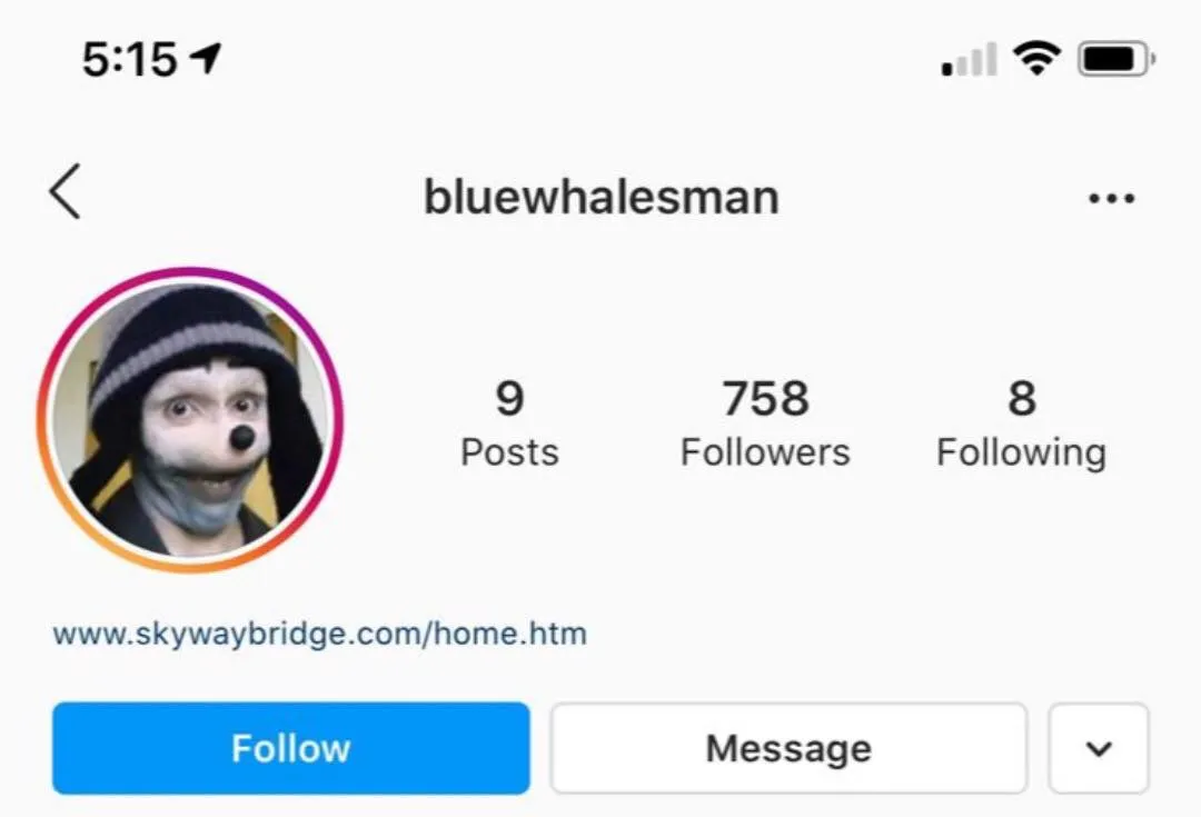 107497038 1363752753818917 4398004258526779715 o