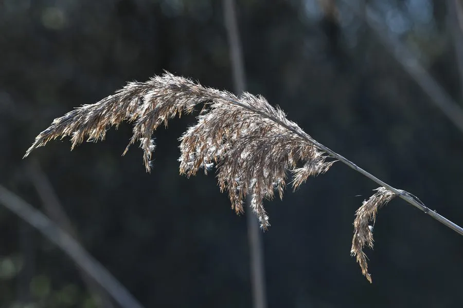 11078 20210416 achtmaal de matjes jst2822 5568x3712