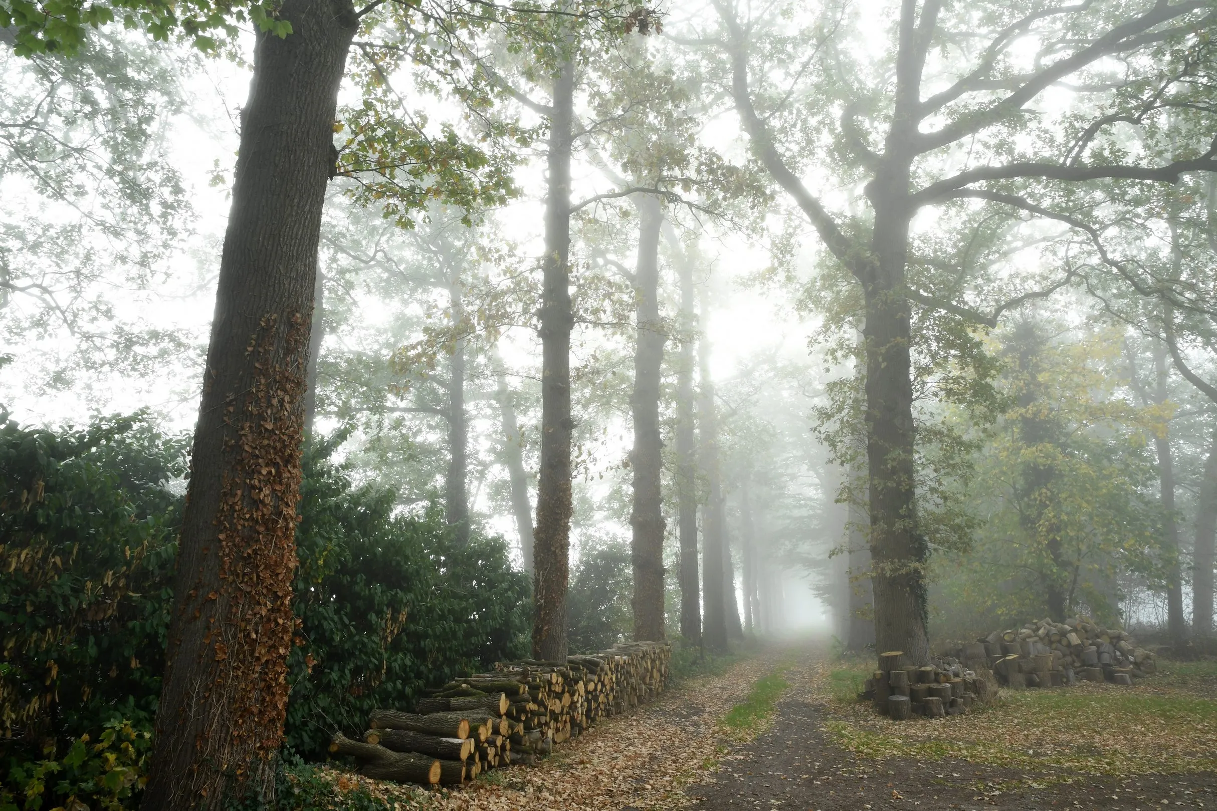 12062 20181017 zundert de moeren jst1870 5568x3712