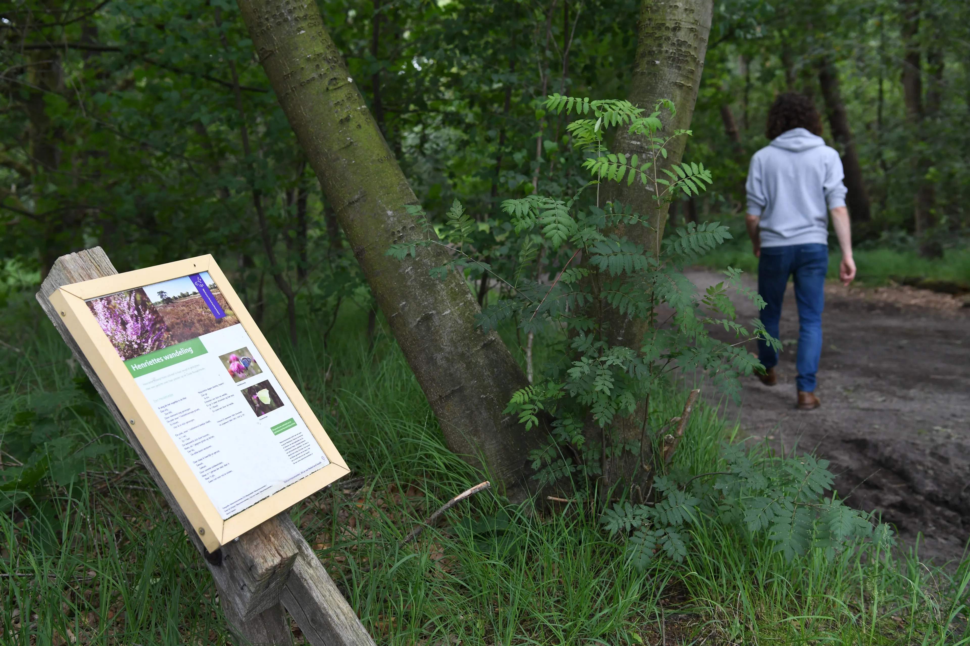 17324 20210717 achtmaal oude buisse heide jst6765 5568x3712