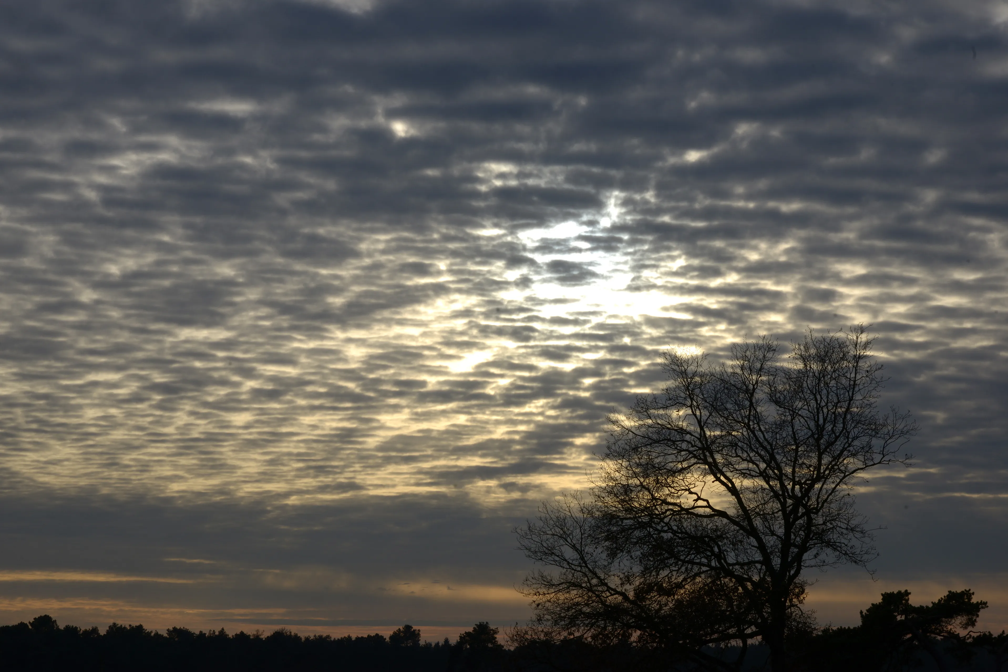 20141125 loz jst1982