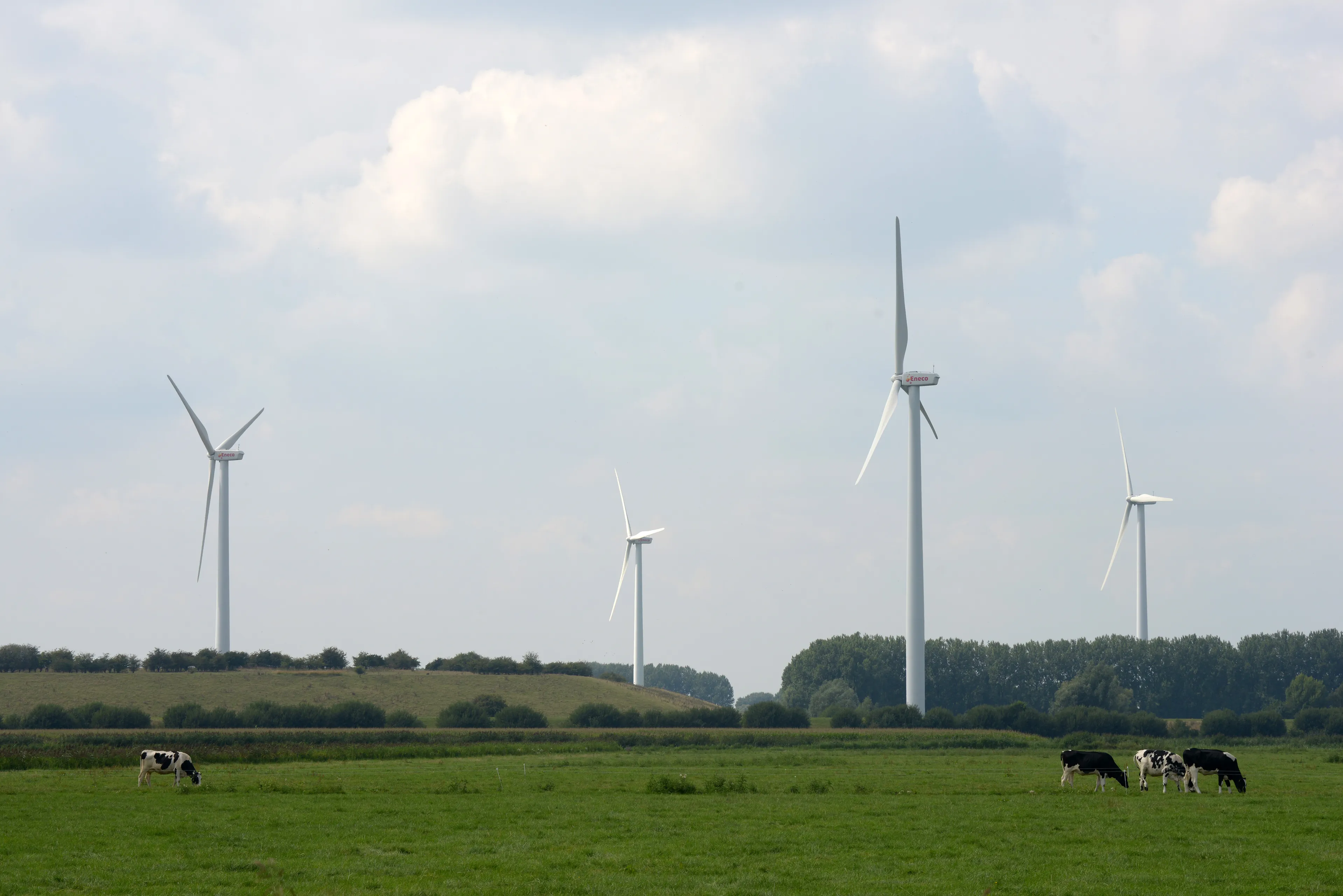 20150821 waalwijk jst1329 1