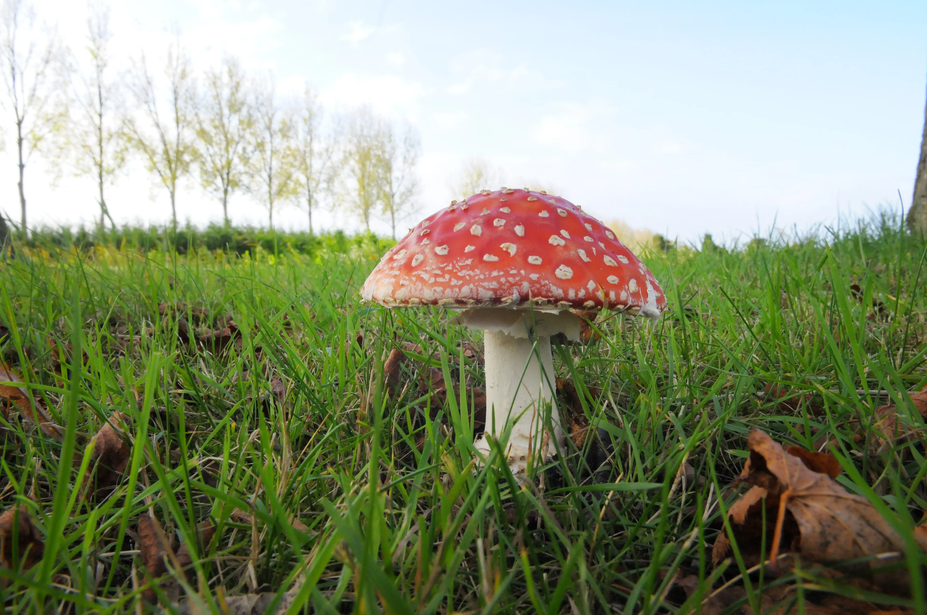 20171029 dongen jst8702