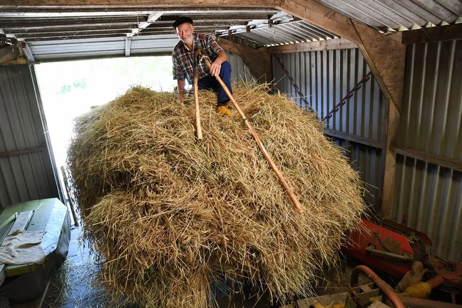 20180722 rijsbergen jst4615
