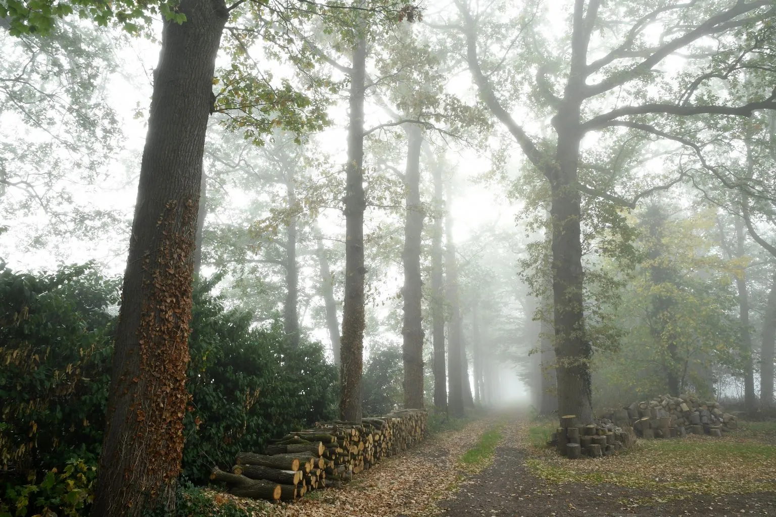 20181017 zundert de moeren jst1870