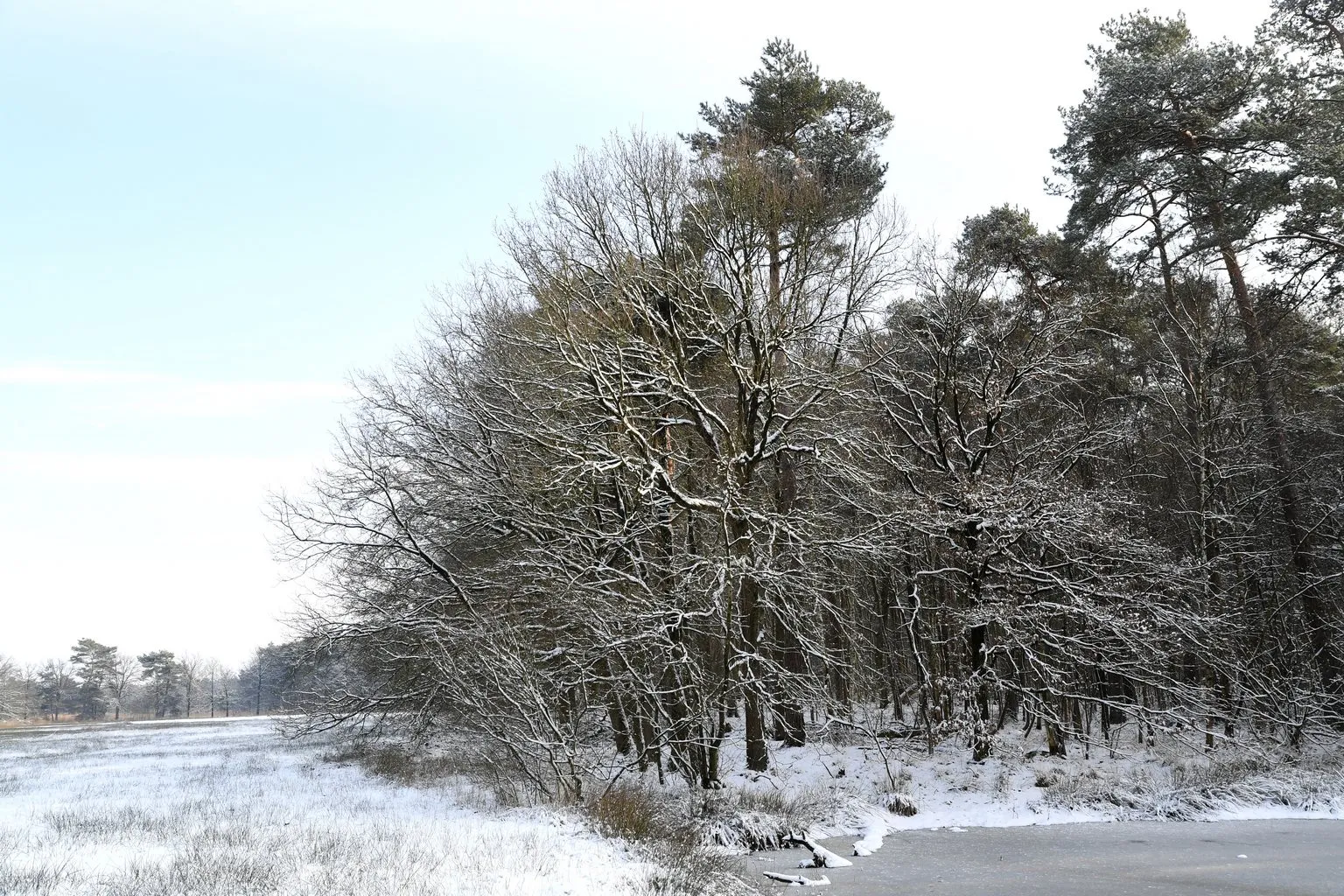 20190123 achtmaal jst9986 g