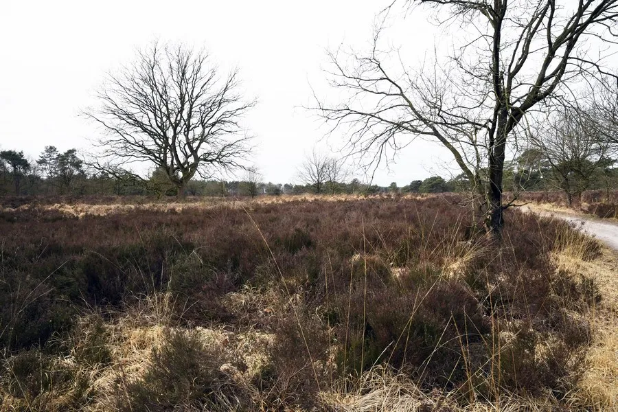 20190312 zundert de moeren jst0393