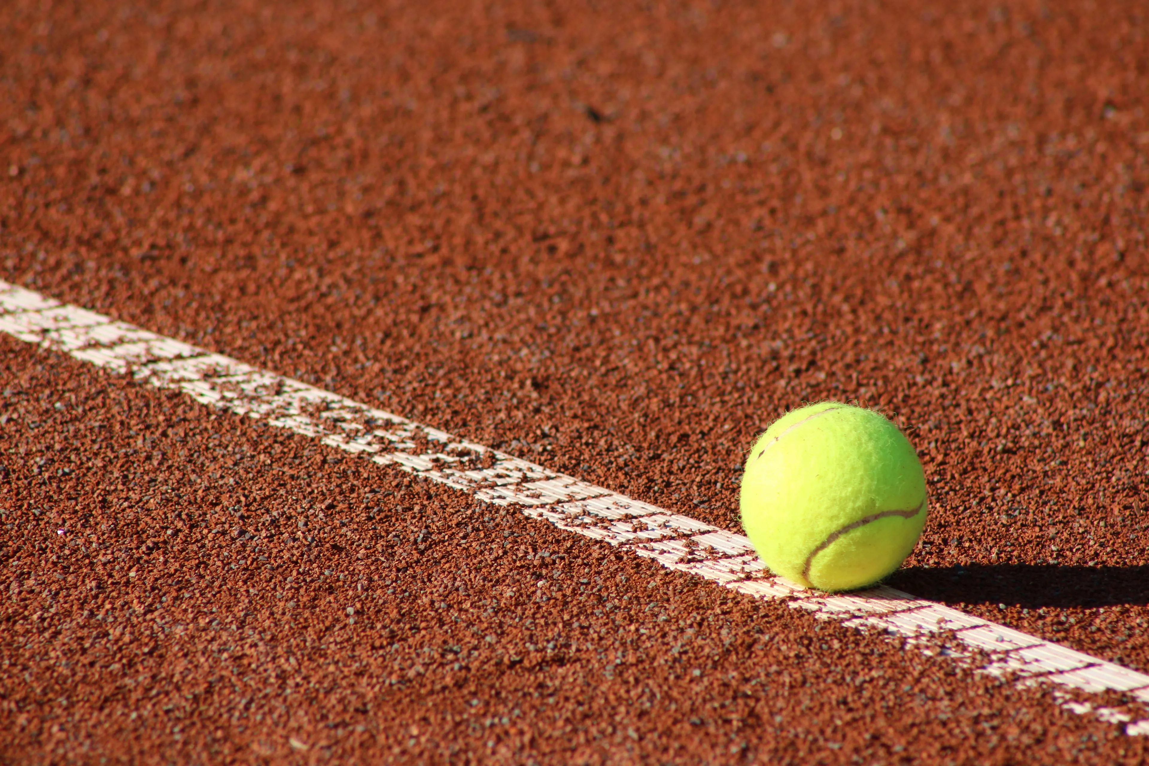 20200629 spinder open img 0306