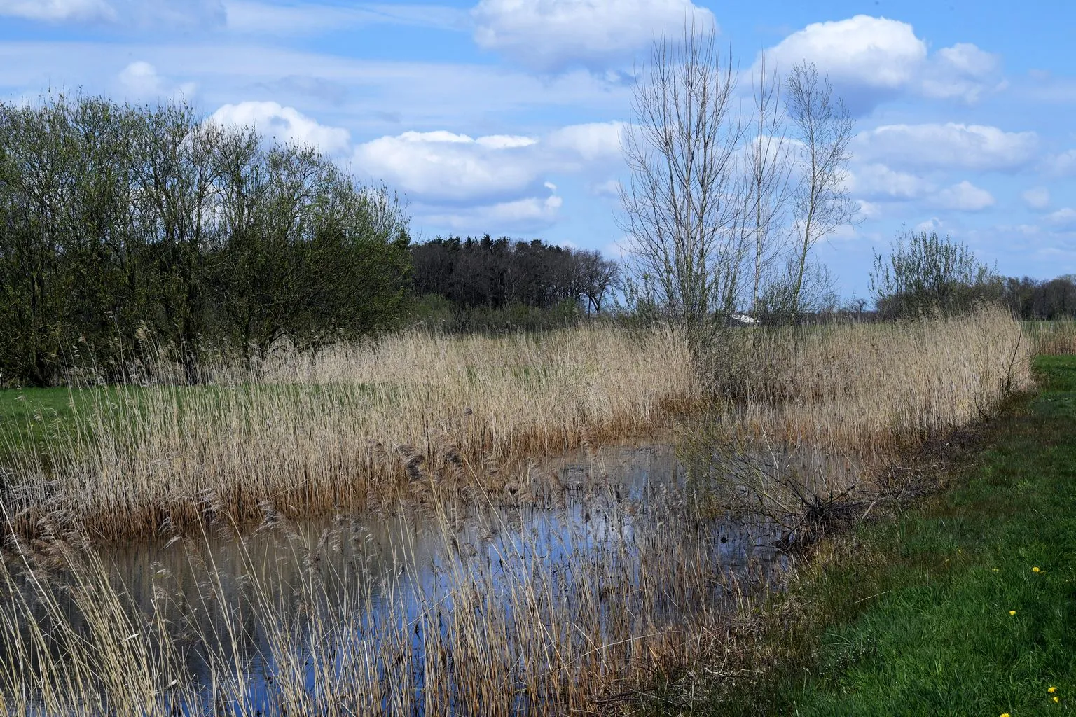 20210416 achtmaal de matjes jst2963