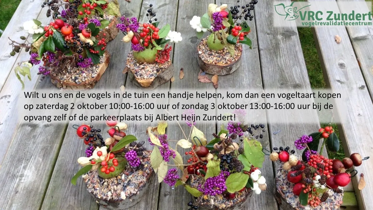 243186441 4846844328667522 2630722208346977702 n