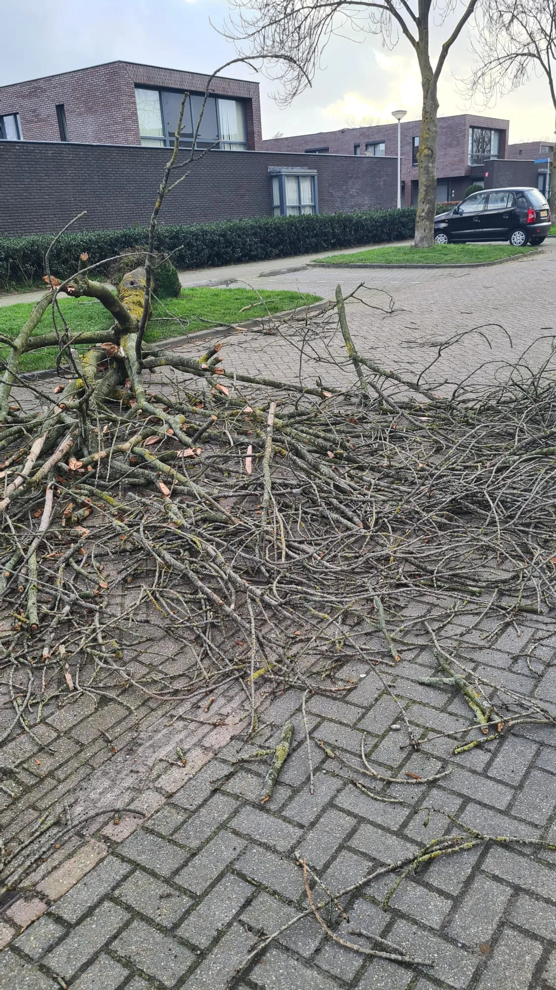 274246461 4908543659265101 4737395582294716750 n