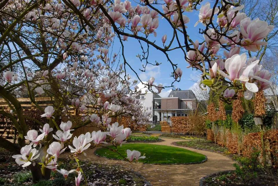 275225550 5544303105585205 3011416463001797110 n