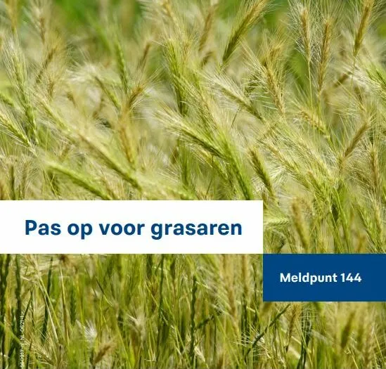 281582278 386251196863505 3168127634514445722 n 2 e1653380288959