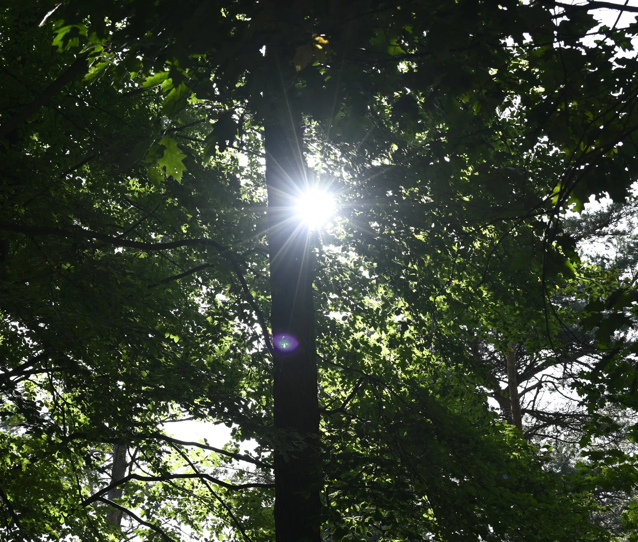 310227593 6108675055812483 8569998200255891182 n