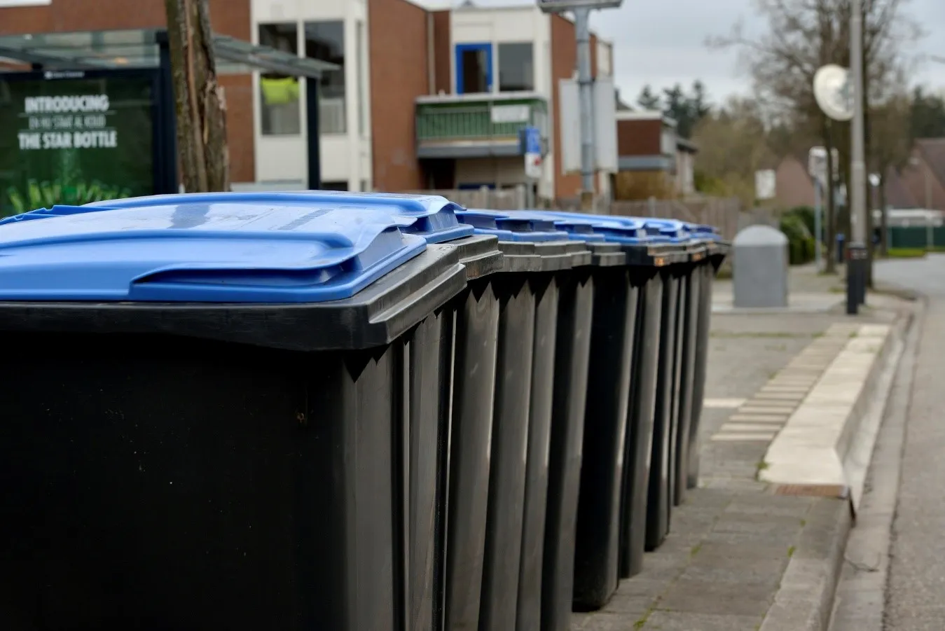 347426448 768506918612343 1925894214652085809 n