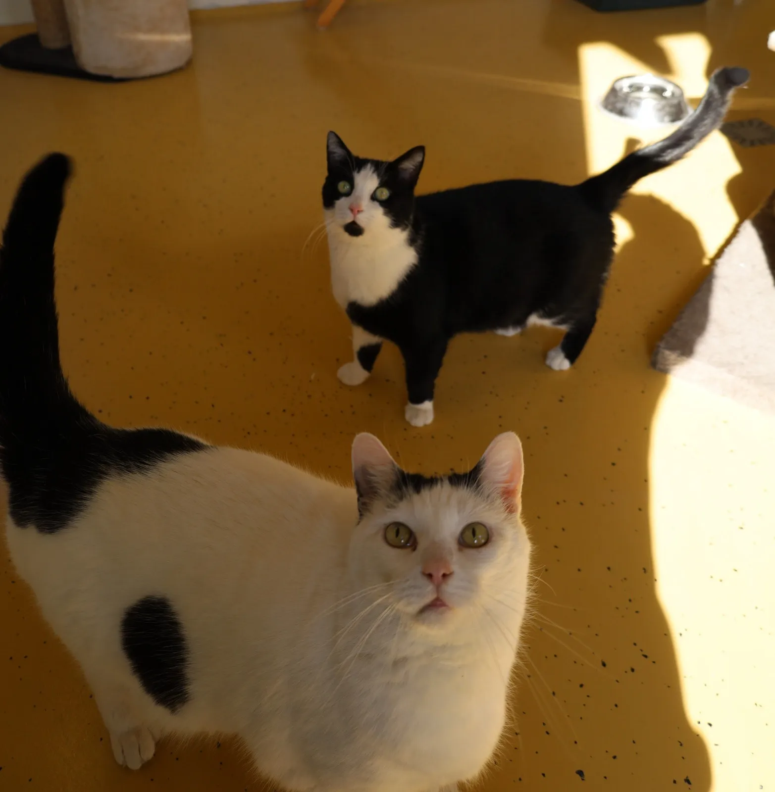 6da7f1ee d5e8 4e6c 8000 67037077b47d