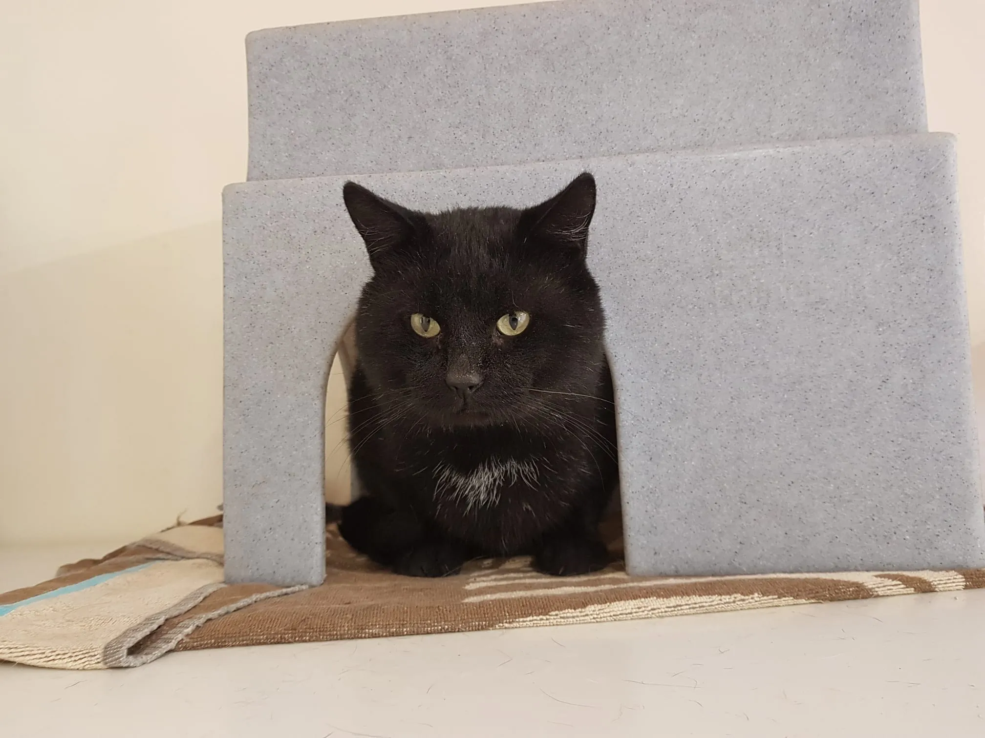 74c646a7 9928 4f91 a0ce f0642993d2f0