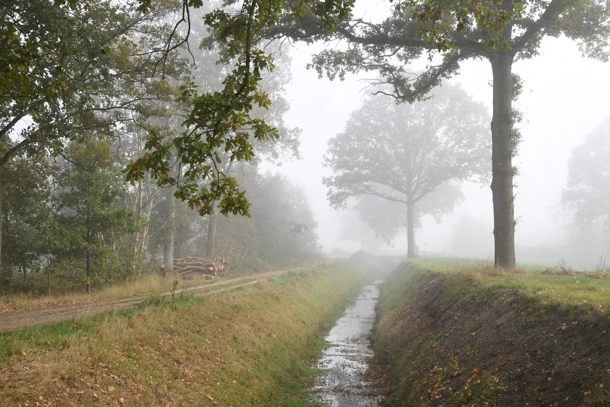 8024 20181017 zundert de moeren jst1907 5568x3712