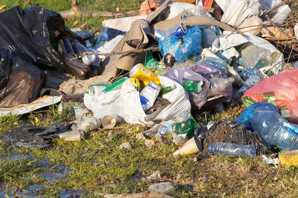 93874102 2604139249691671 6270694922660085760 o