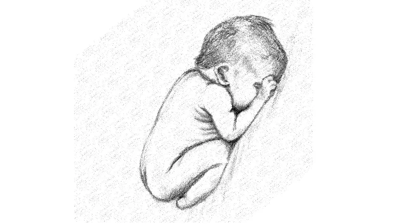 baby plakat 031111 original 1510 baby1
