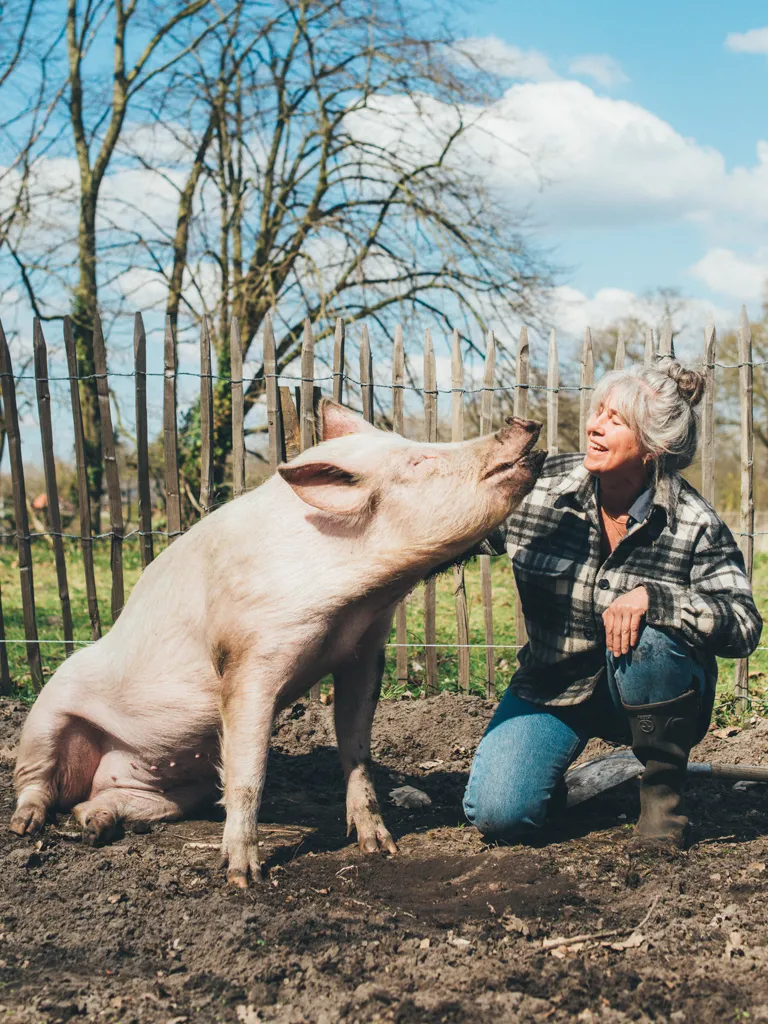 caba2b2c 368d 4c0c a33a 2a4683c90dd7