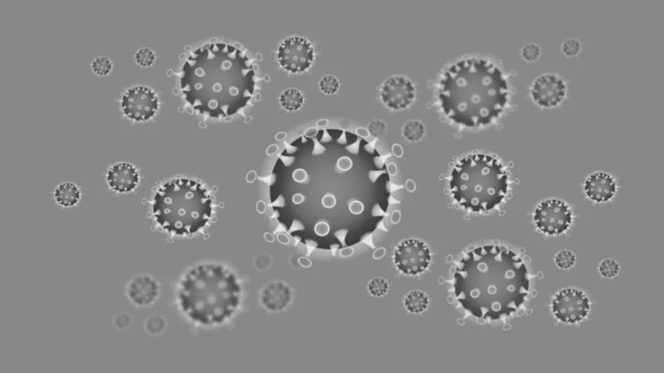 corona 4901908 960 720 zw pixabay