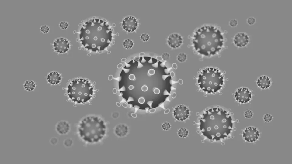 corona 4901908 960 720 zw pixabay