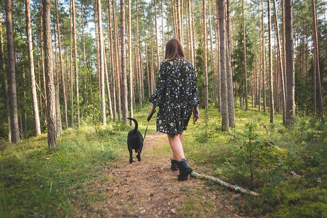 dog gf5cee9460 640
