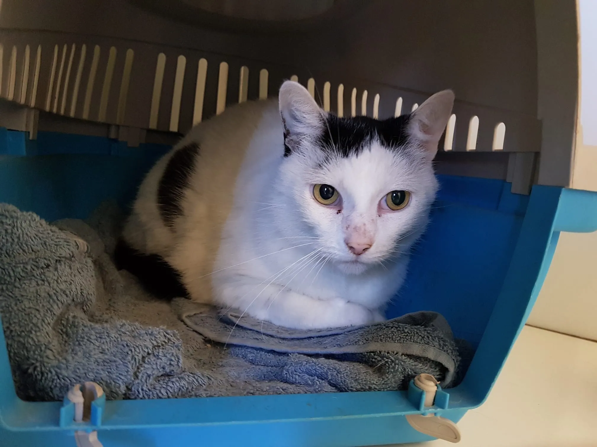 f8740cbf 90de 49ad aaae ba81dece24f1