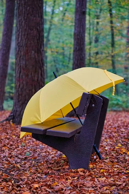 forest g67ca22eb0 640