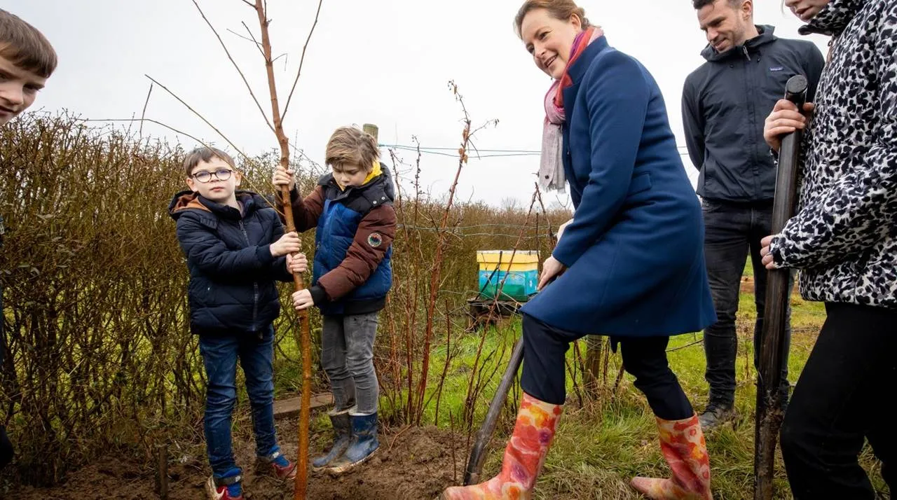 groene schoolpleinen