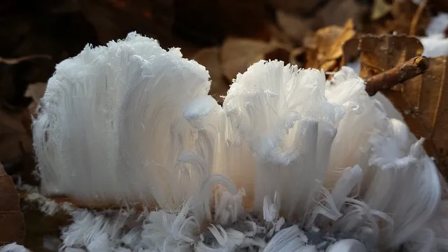 ice hair g766732af8 640