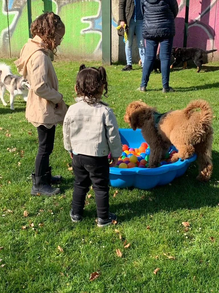 kinderen socialiseren met honden