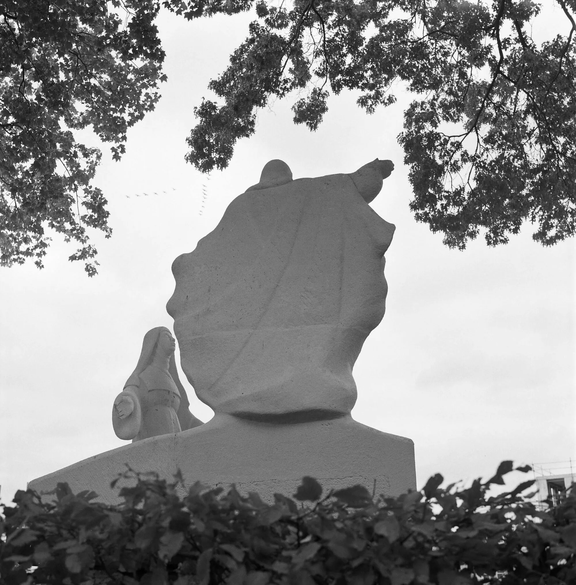 marijn de jong in zundert 20221016 23014502 2000x2029 1