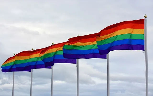 pride flag g6817eb06d 640