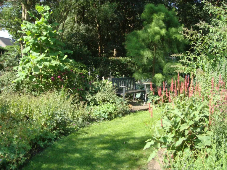 tuin toer foto 3 koeken