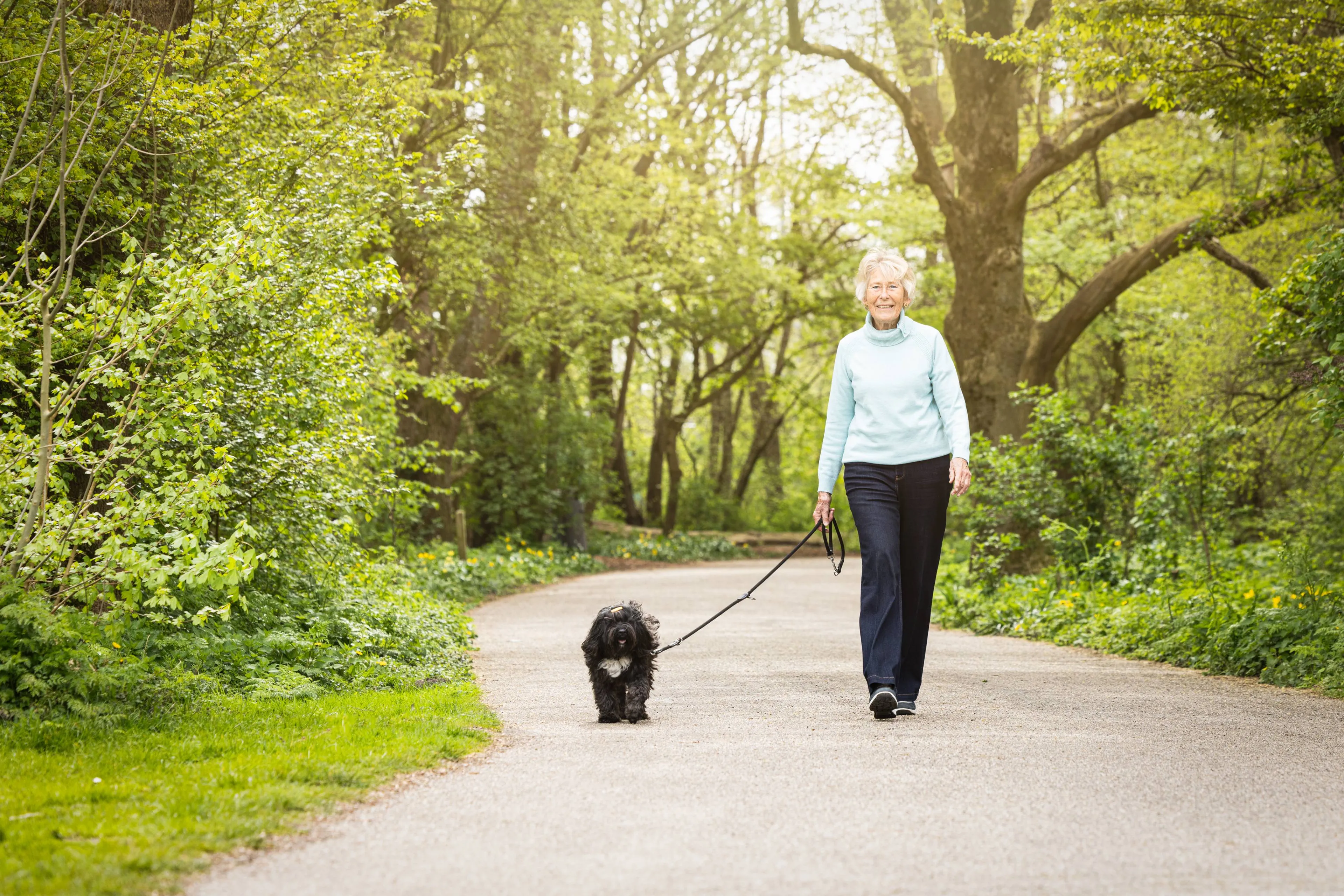 BK-20260415-OOPOEH-hond