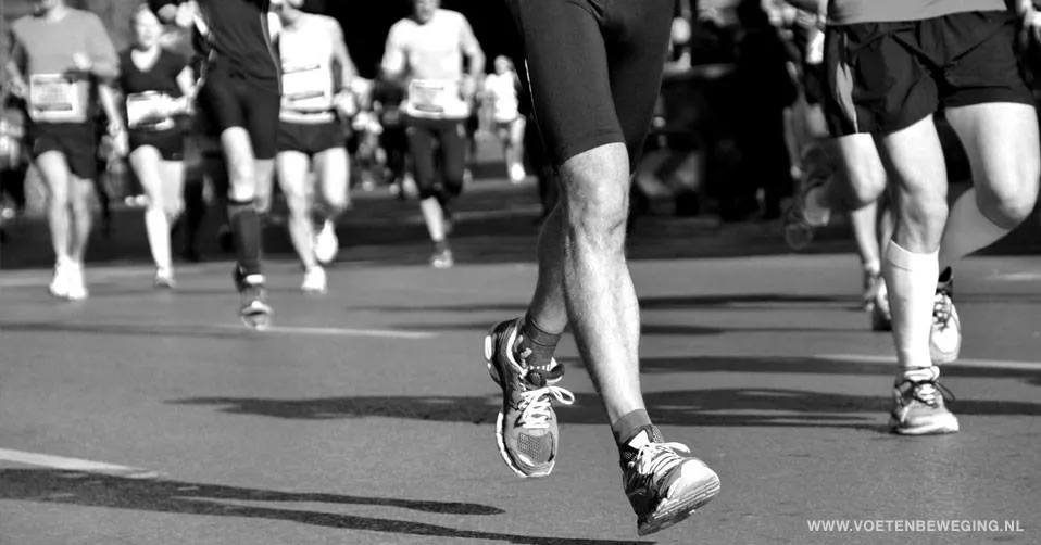 18033548 1422237347850393 8282672905554160227 n