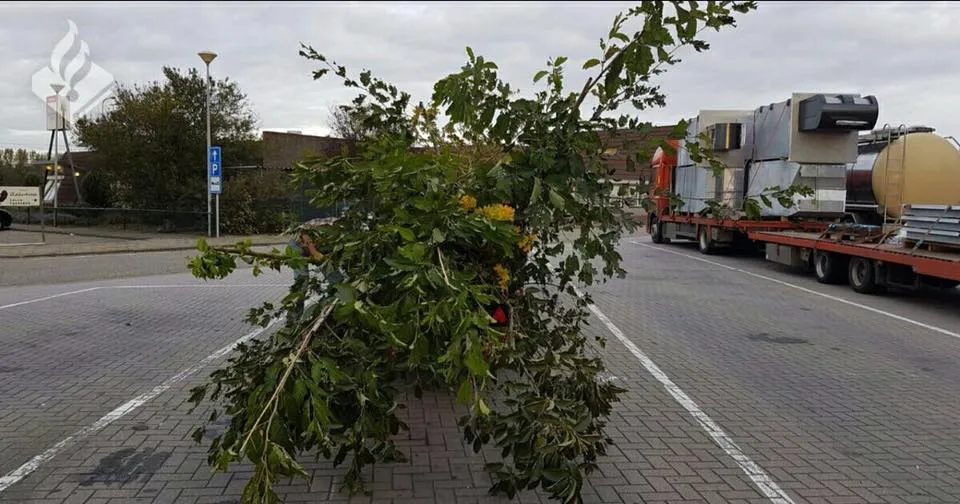 22405453 1111403155656300 8064526785914260554 n