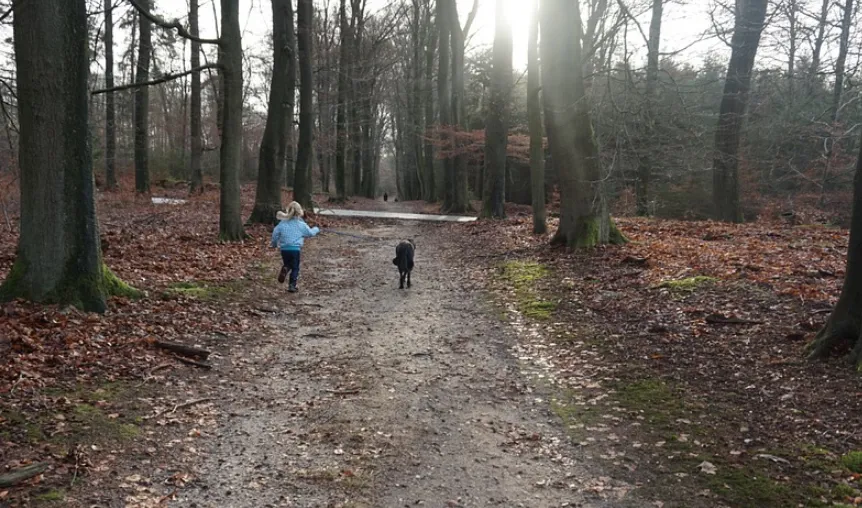 schermafbeelding 2019 03 09 om 085201