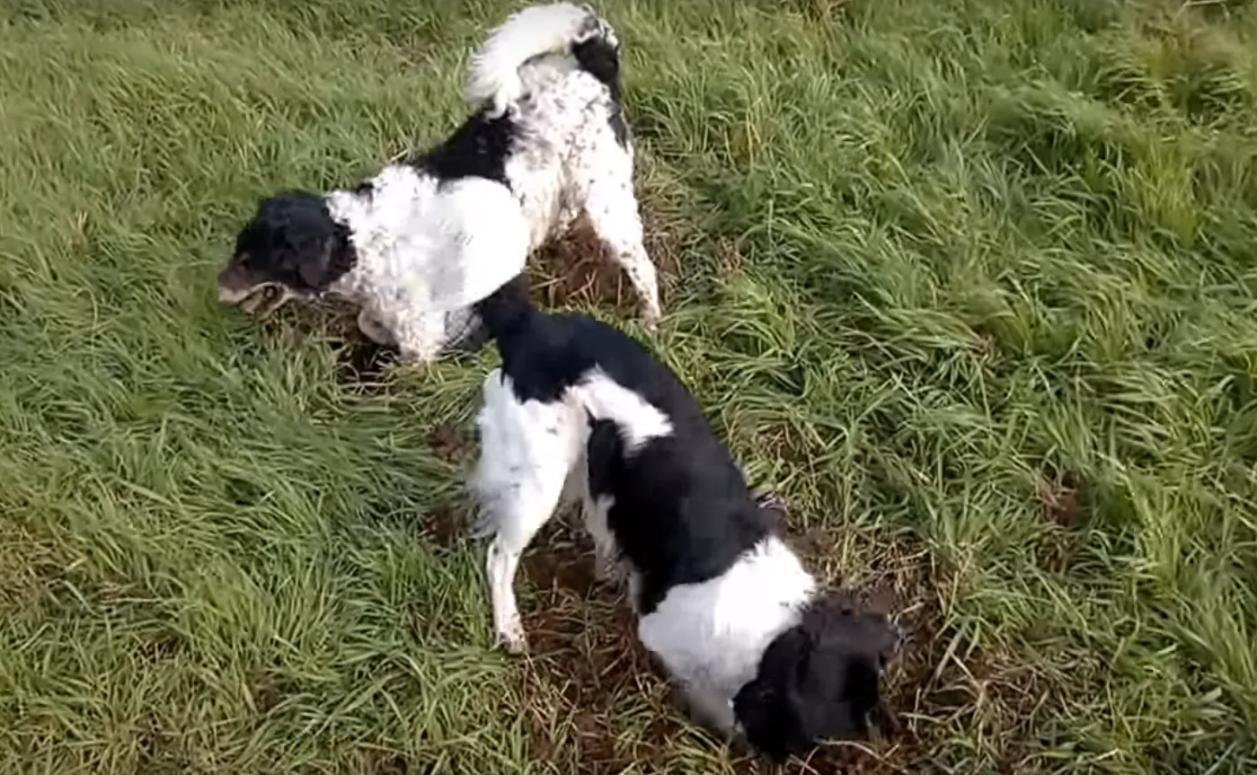 schermafbeelding 2019 05 22 om 092959