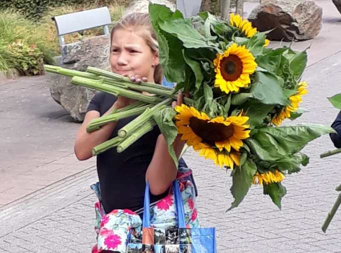 schermafbeelding 2019 08 02 om 101250