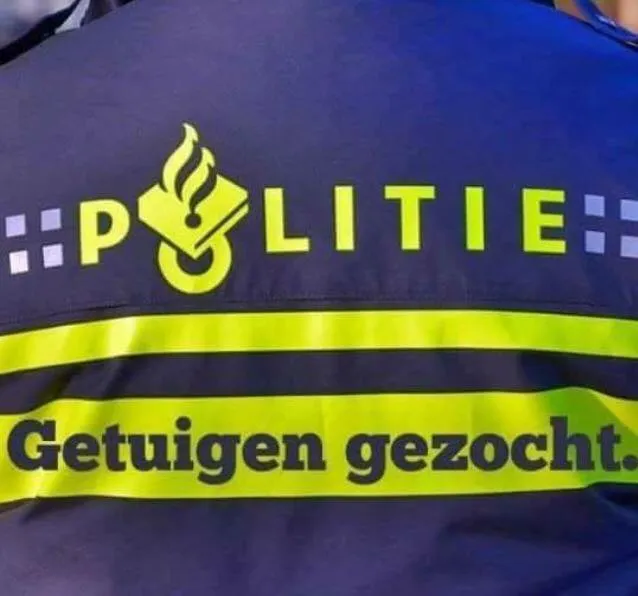 19059316 1685656718410558 5443650367049396089 n